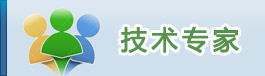 技术专家